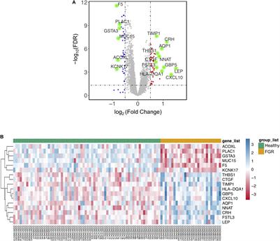 Integrated Analysis of Key Genes and Pathways Involved in Fetal Growth Restriction and Their Associations With the Dysregulation of the Maternal Immune System